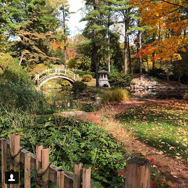 Ride scenery Japanese Gardens - Eric Anson